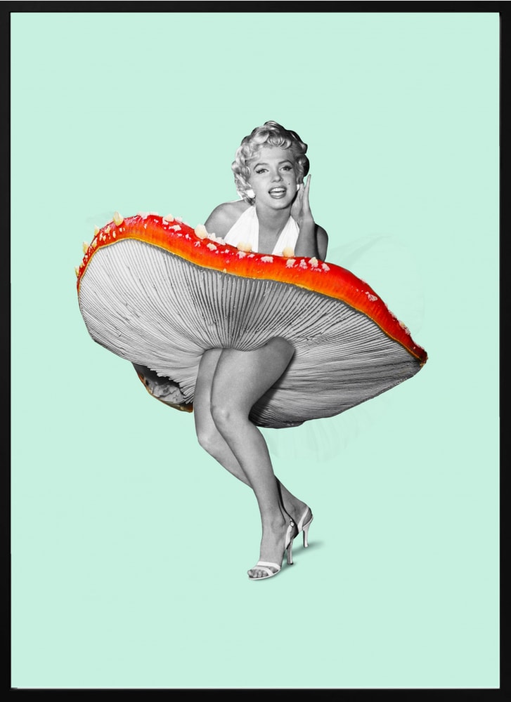 Marilyn Mushroom Skirt