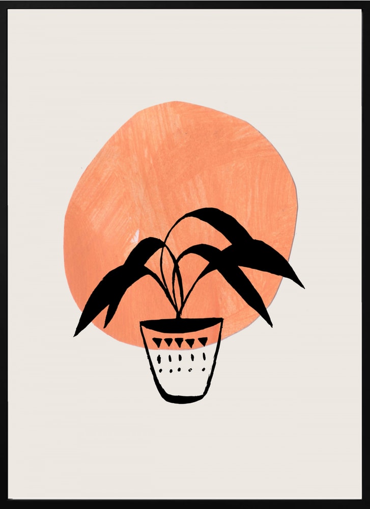 Boho Potted Plant