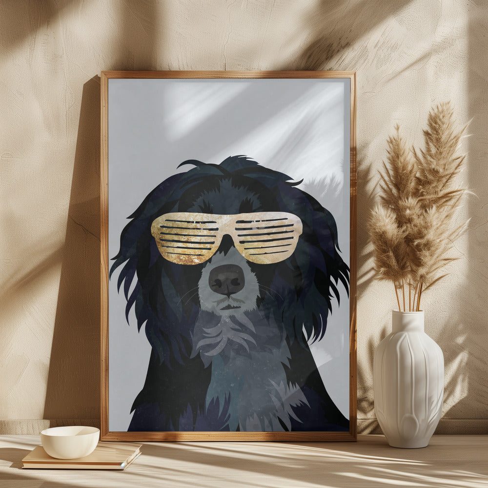 Hiphop Cockerspaniel - plakatstore