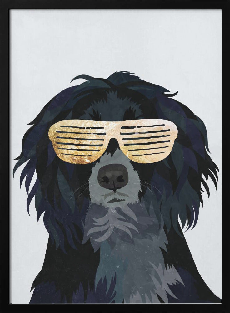 Hiphop Cockerspaniel - plakatstore