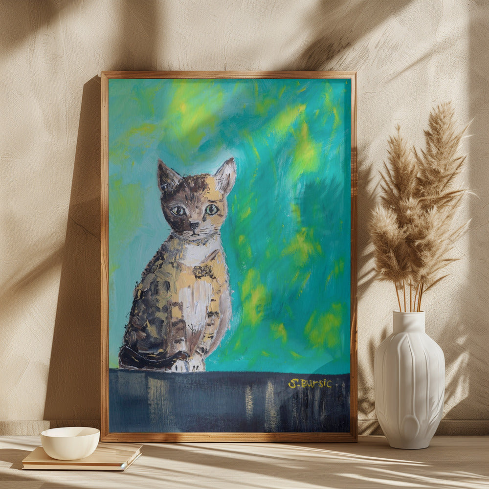 Kitten Waiting - plakatstore