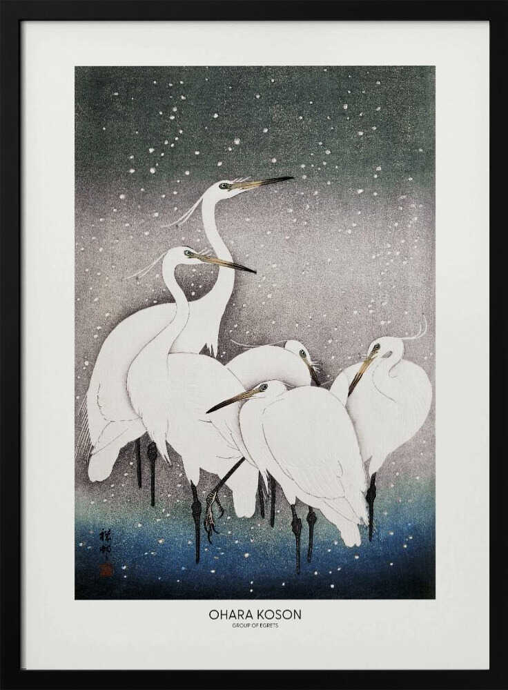 Group Of Egrets