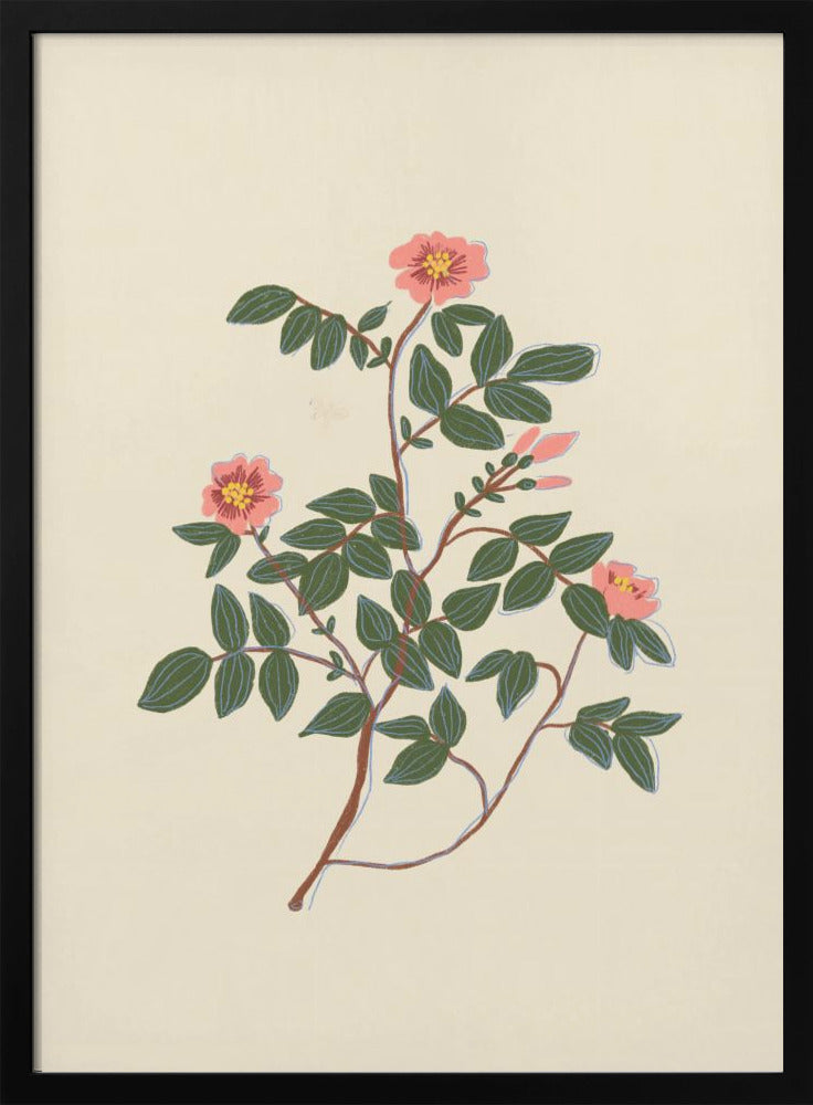 Wild rose - plakatstore