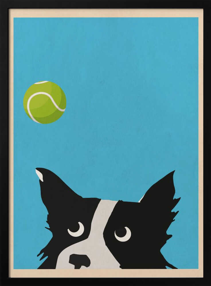 Dog &amp; Ball