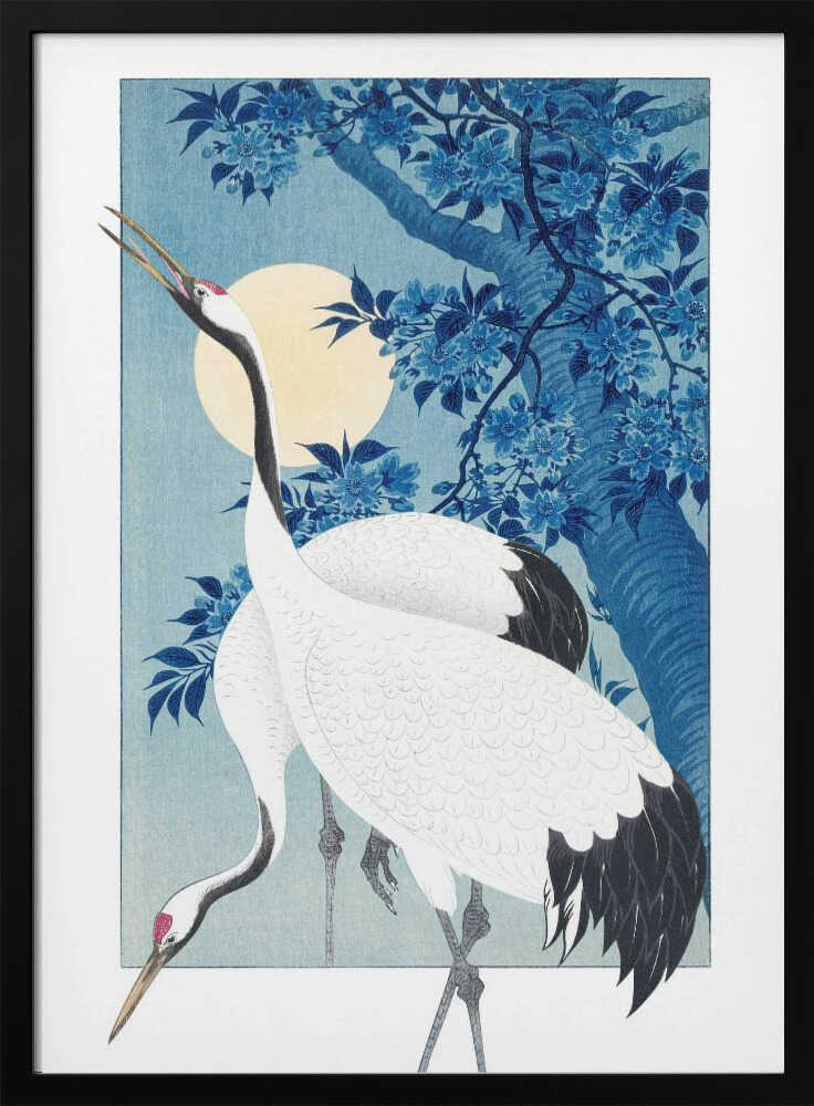 Cranes In a Moonlit Night