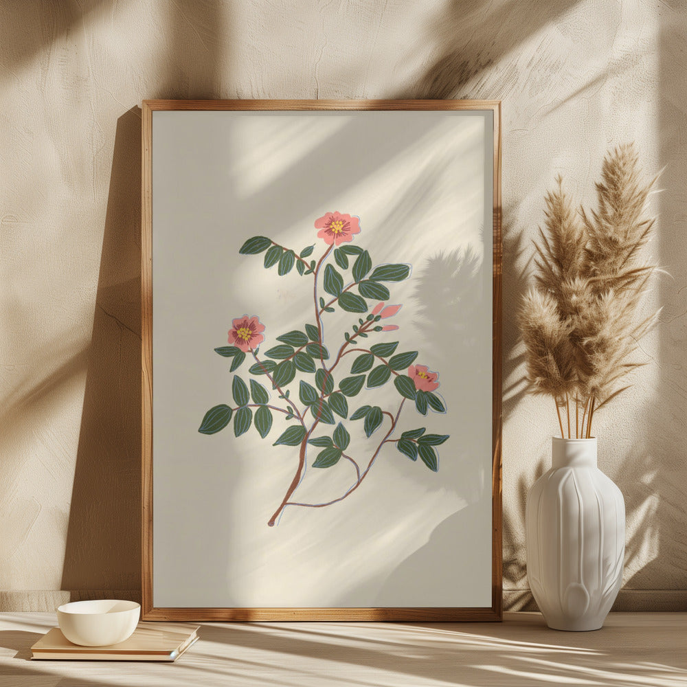 Wild rose - plakatstore