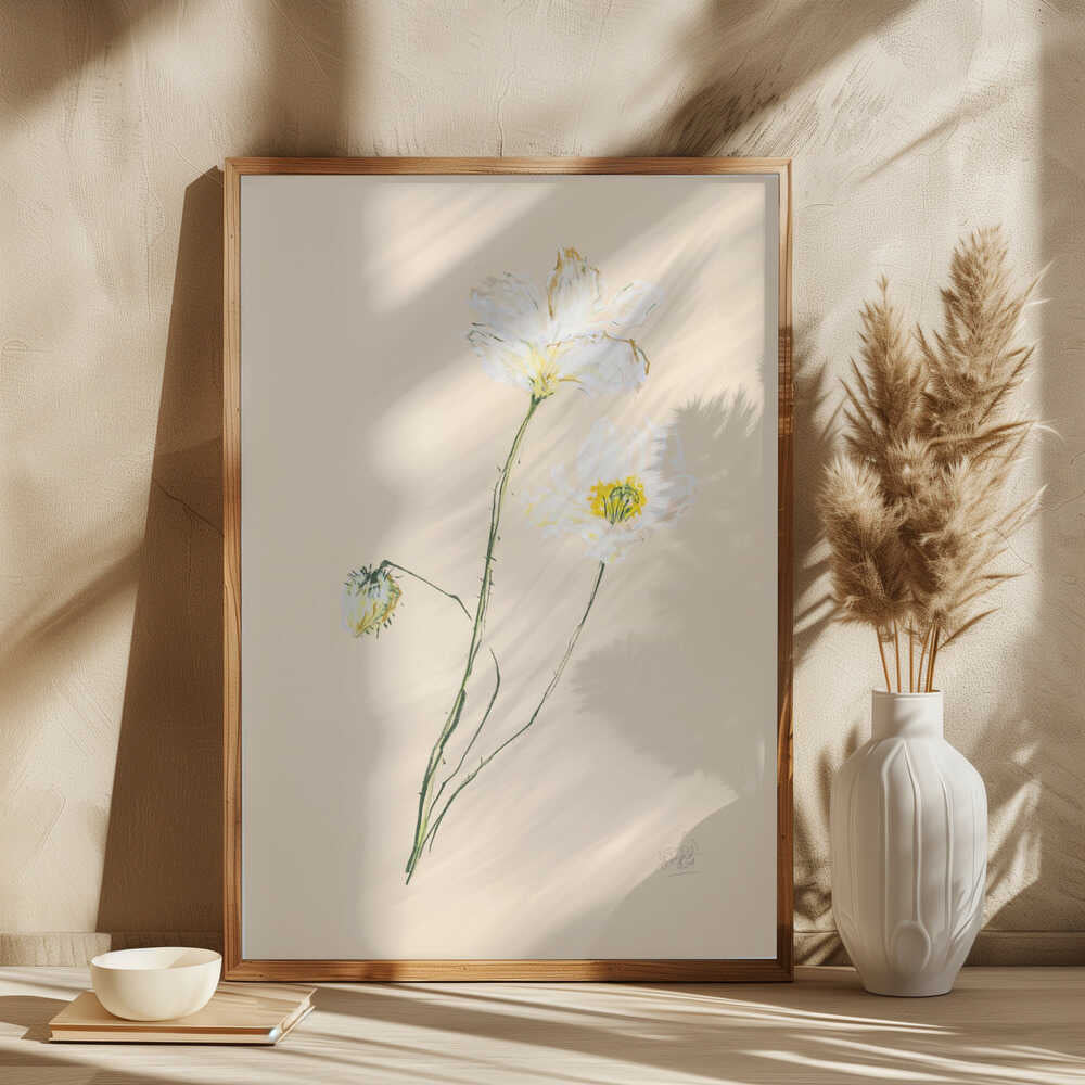 Delicate White Poppies