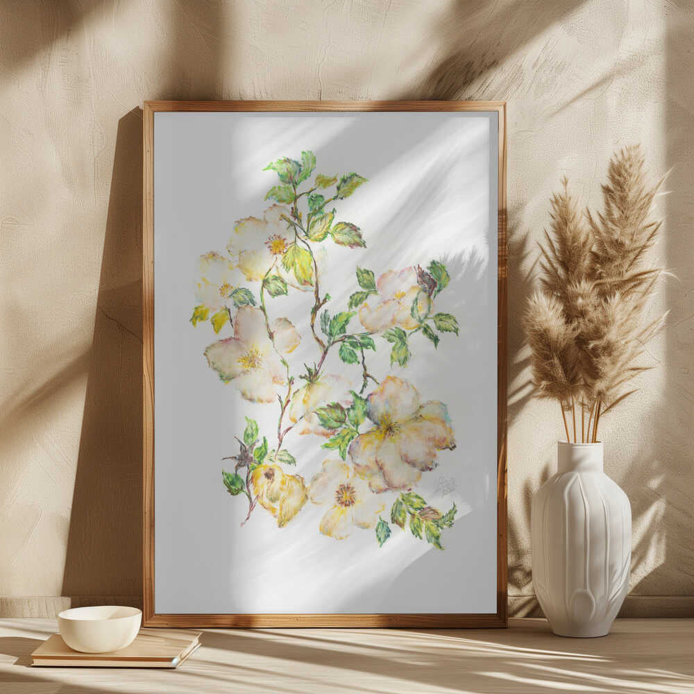 Soft White Rose Branches