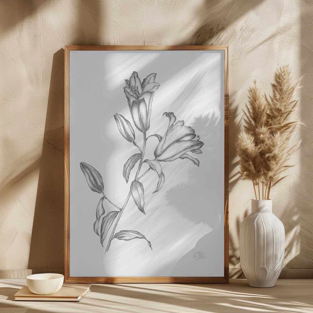 Elegant Lily Drawing