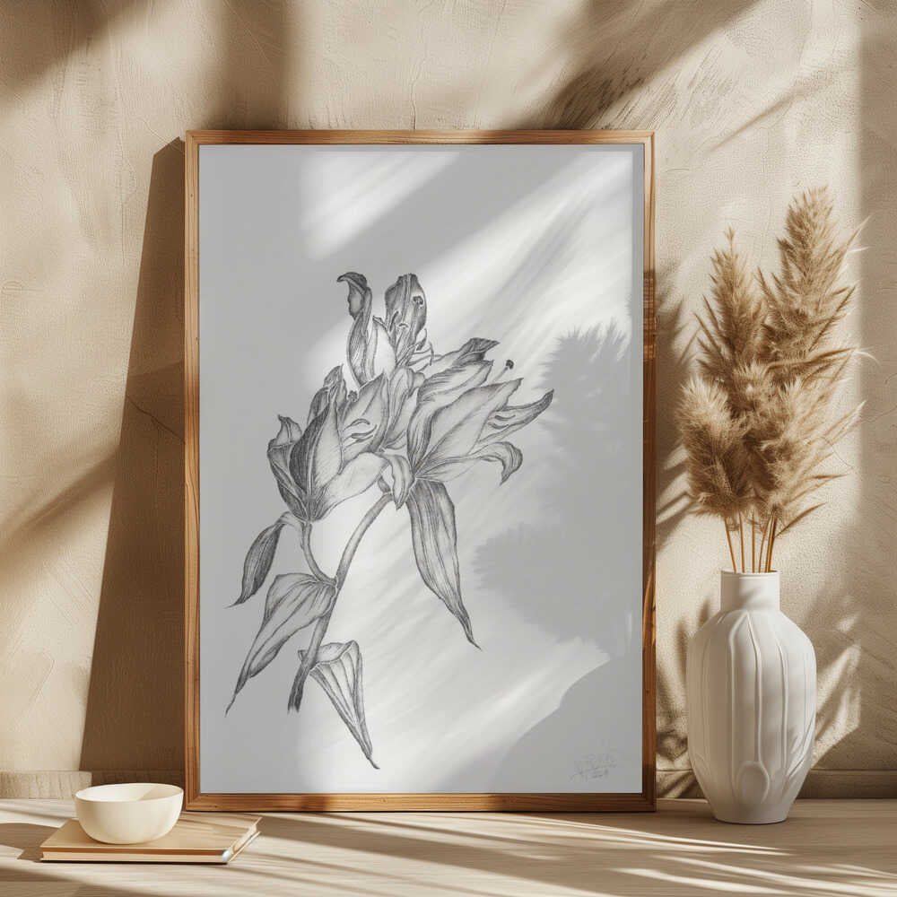 Elegant Lily Drawing