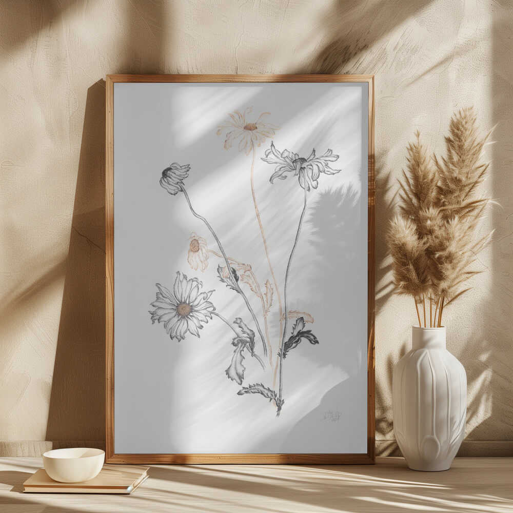 Elegant Fading Daisies