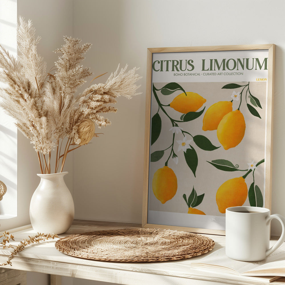 Citrus Limonum Plakat - plakatstore