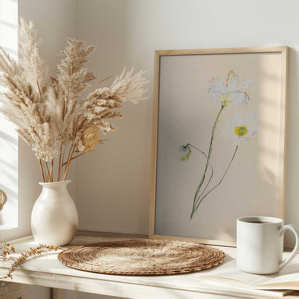 Delicate White Poppies