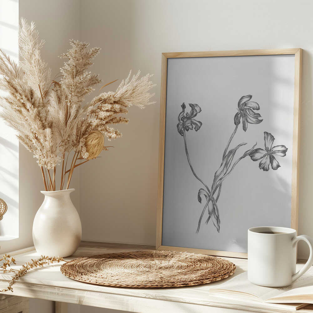 Delicate Botanical Drawing