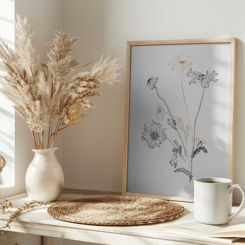 Elegant Fading Daisies