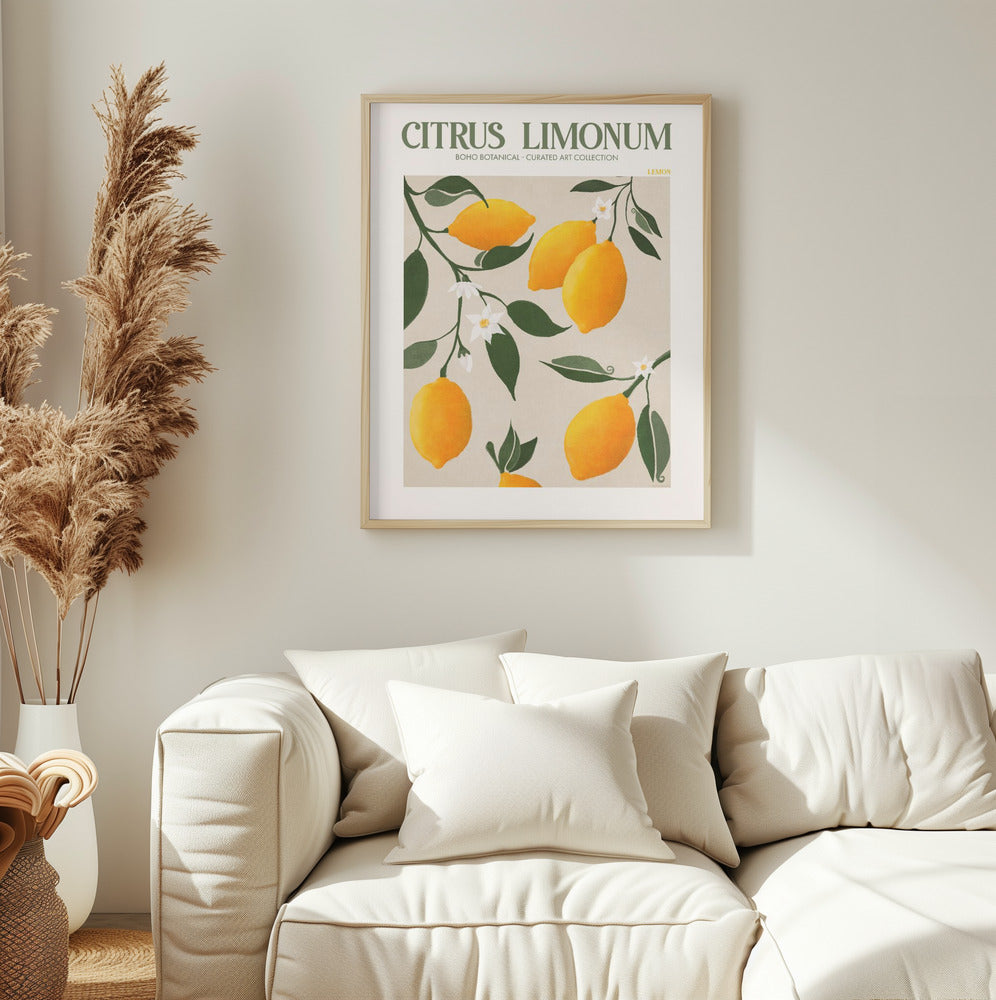 Citrus Limonum Plakat - plakatstore