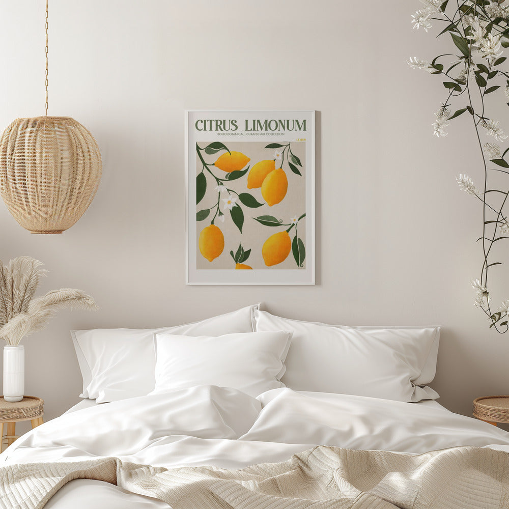 Citrus Limonum Plakat - plakatstore