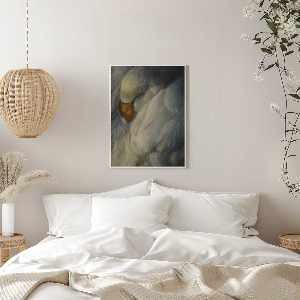 Peaceful Sleeping Swan