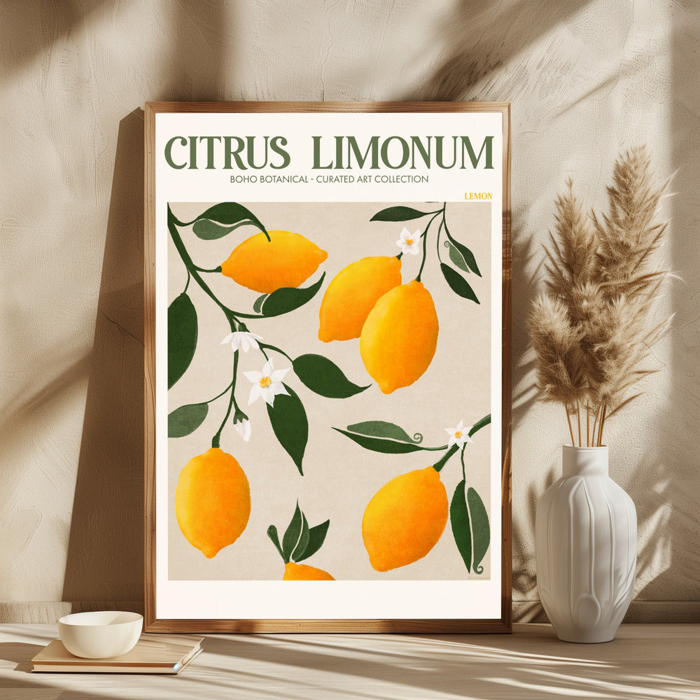 Citrus Limonum - plakatstore