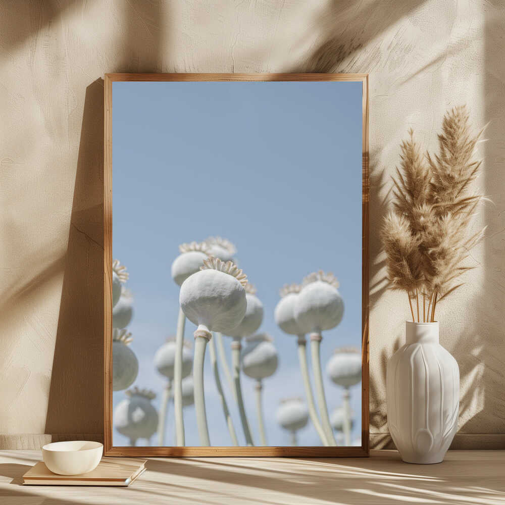 Poppyseed bulbs in mint and retro blue - nature photography
