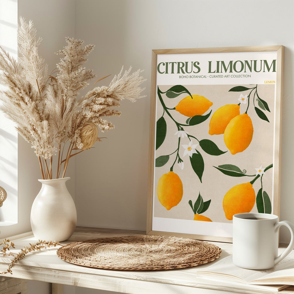 Citrus Limonum - plakatstore