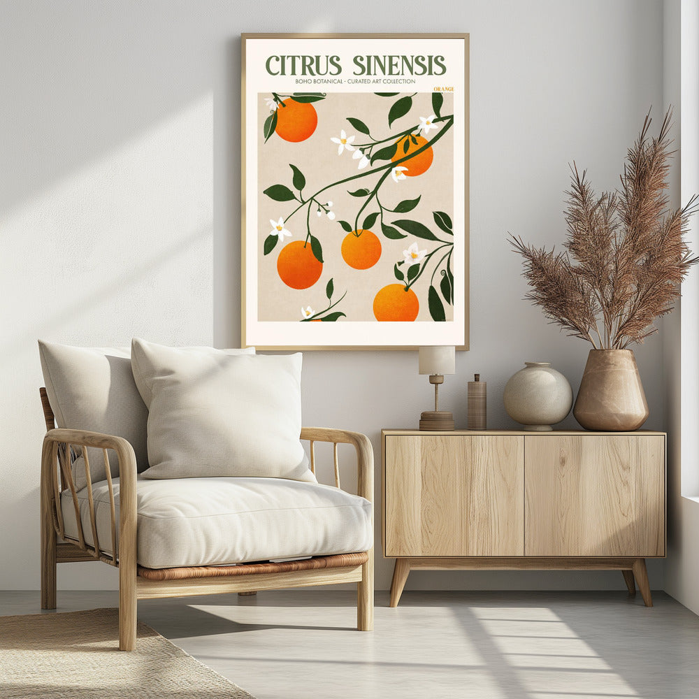 Citrus Sinensis - plakatstore