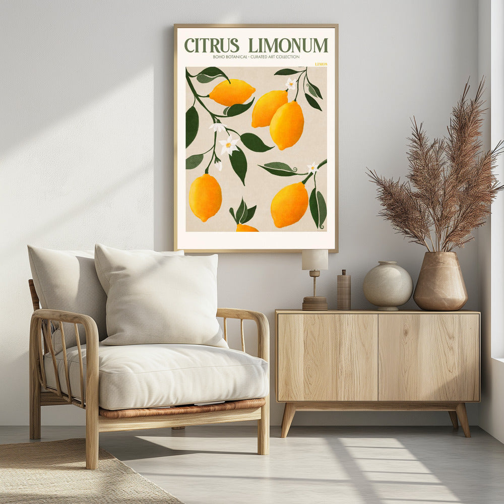 Citrus Limonum - plakatstore