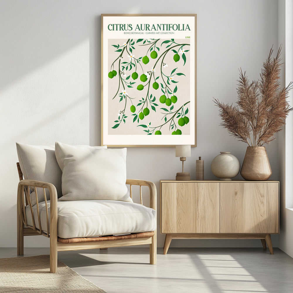 Citrus Aurantifolia - plakatstore