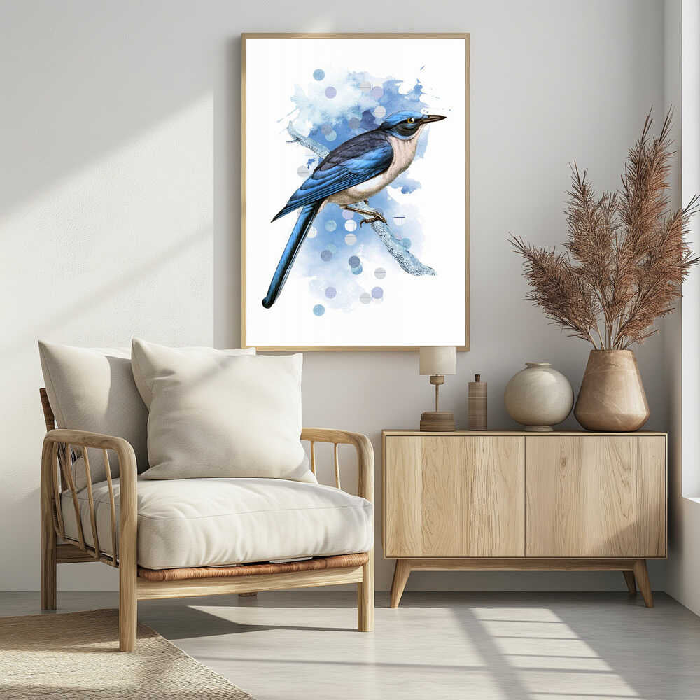 The Drawings of Birds