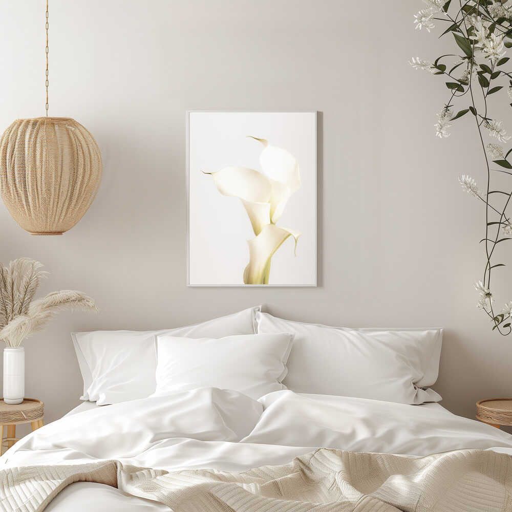 White Calla Lily No 3