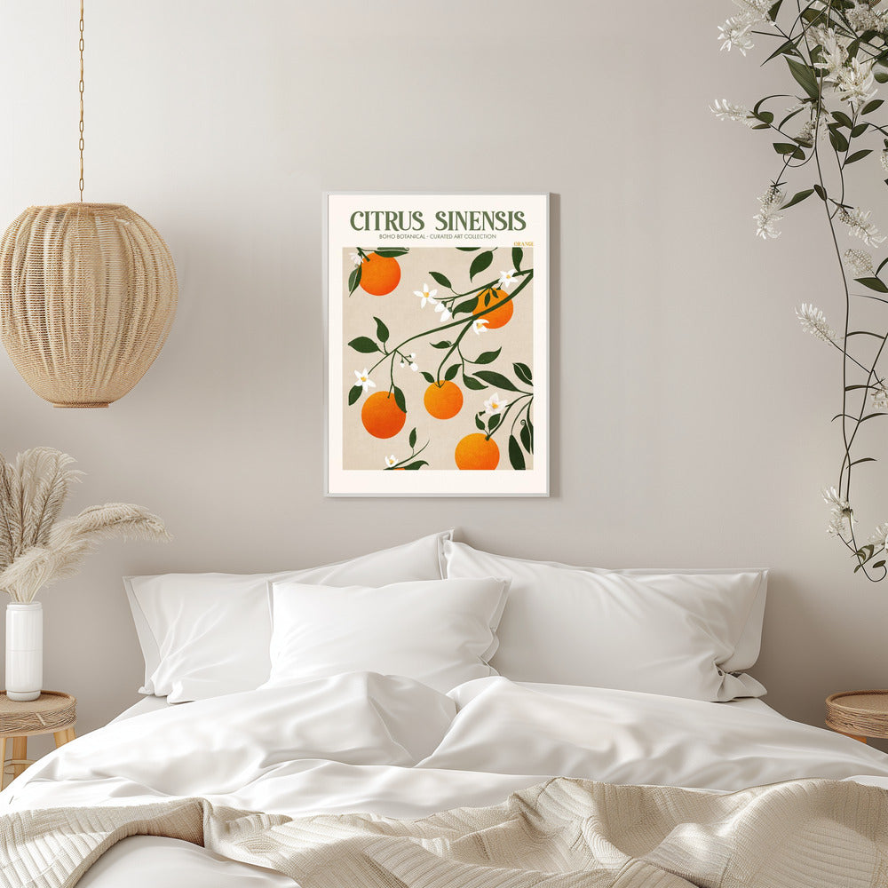 Citrus Sinensis - plakatstore