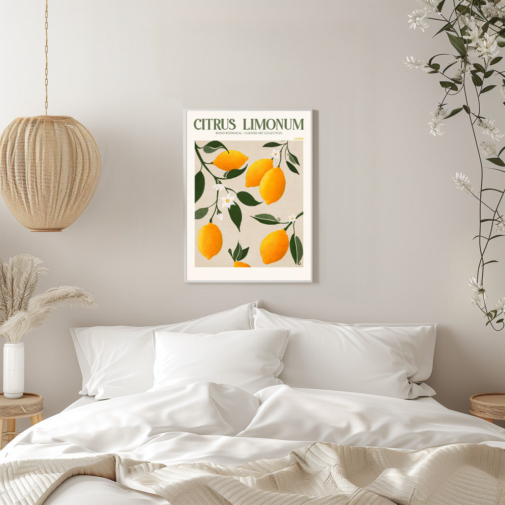 Citrus Limonum - plakatstore