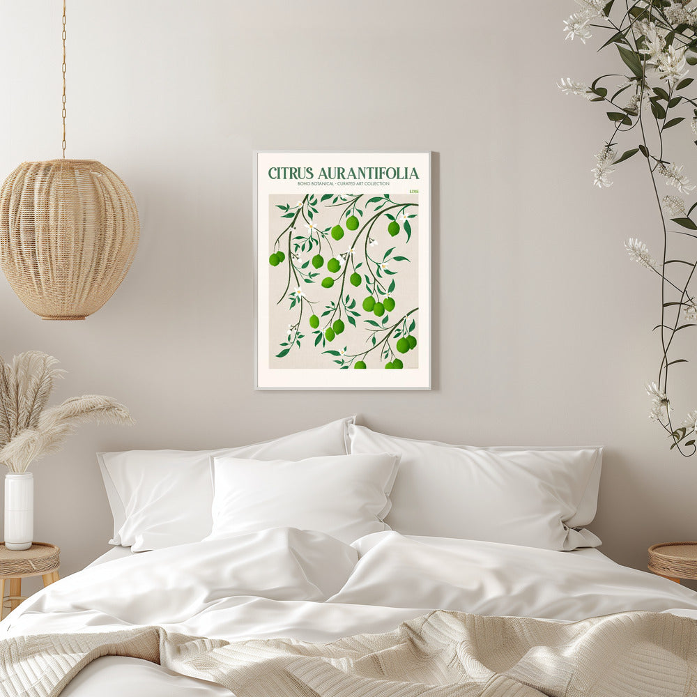 Citrus Aurantifolia - plakatstore