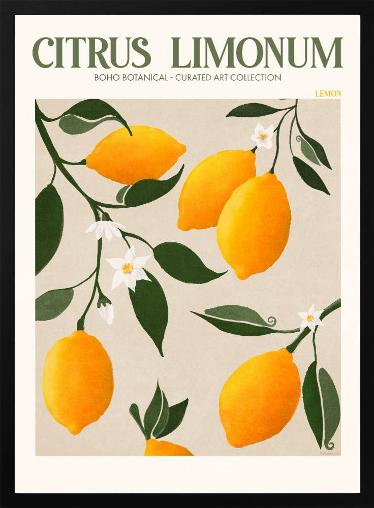 Citrus Limonum - plakatstore