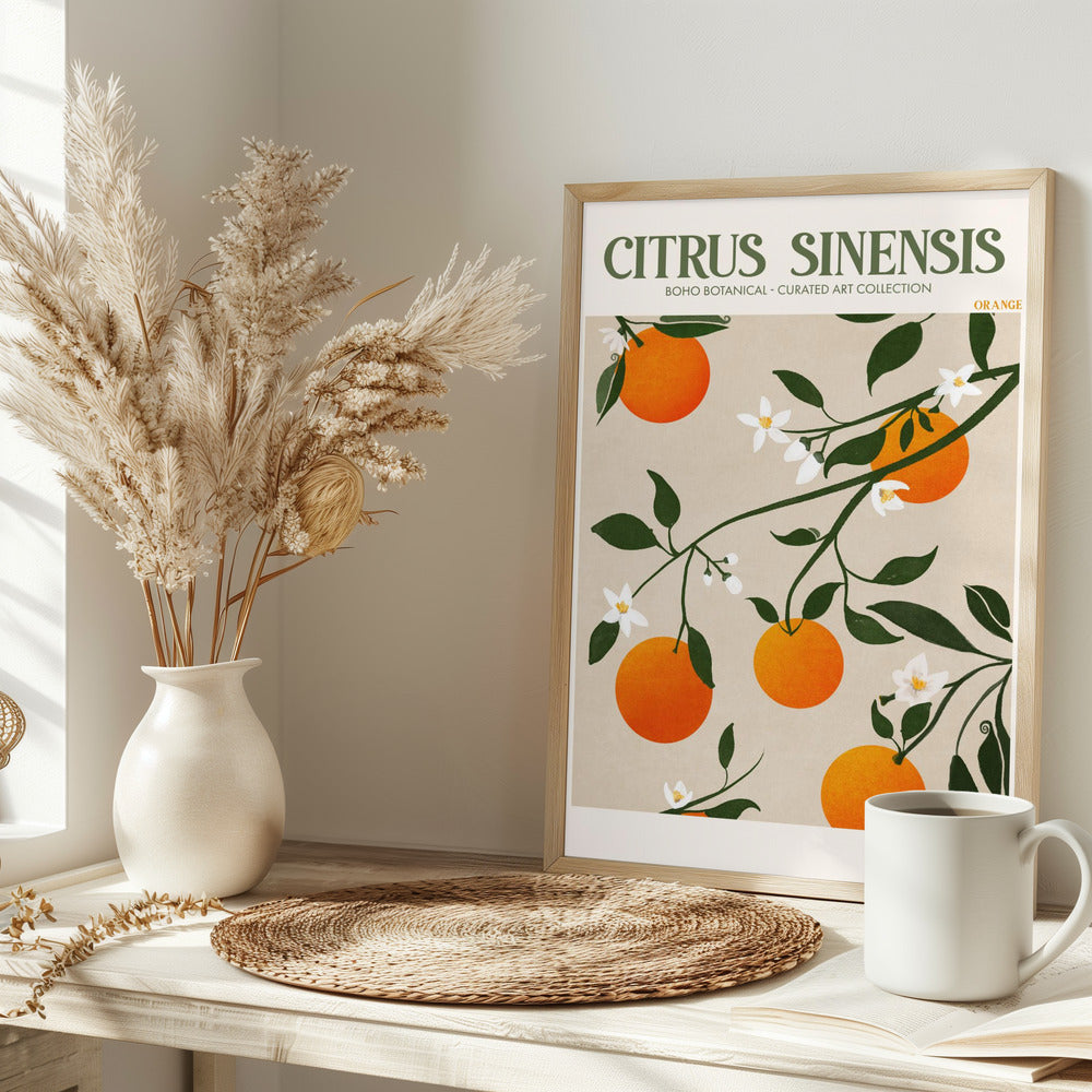 Citrus Sinensis - plakatstore