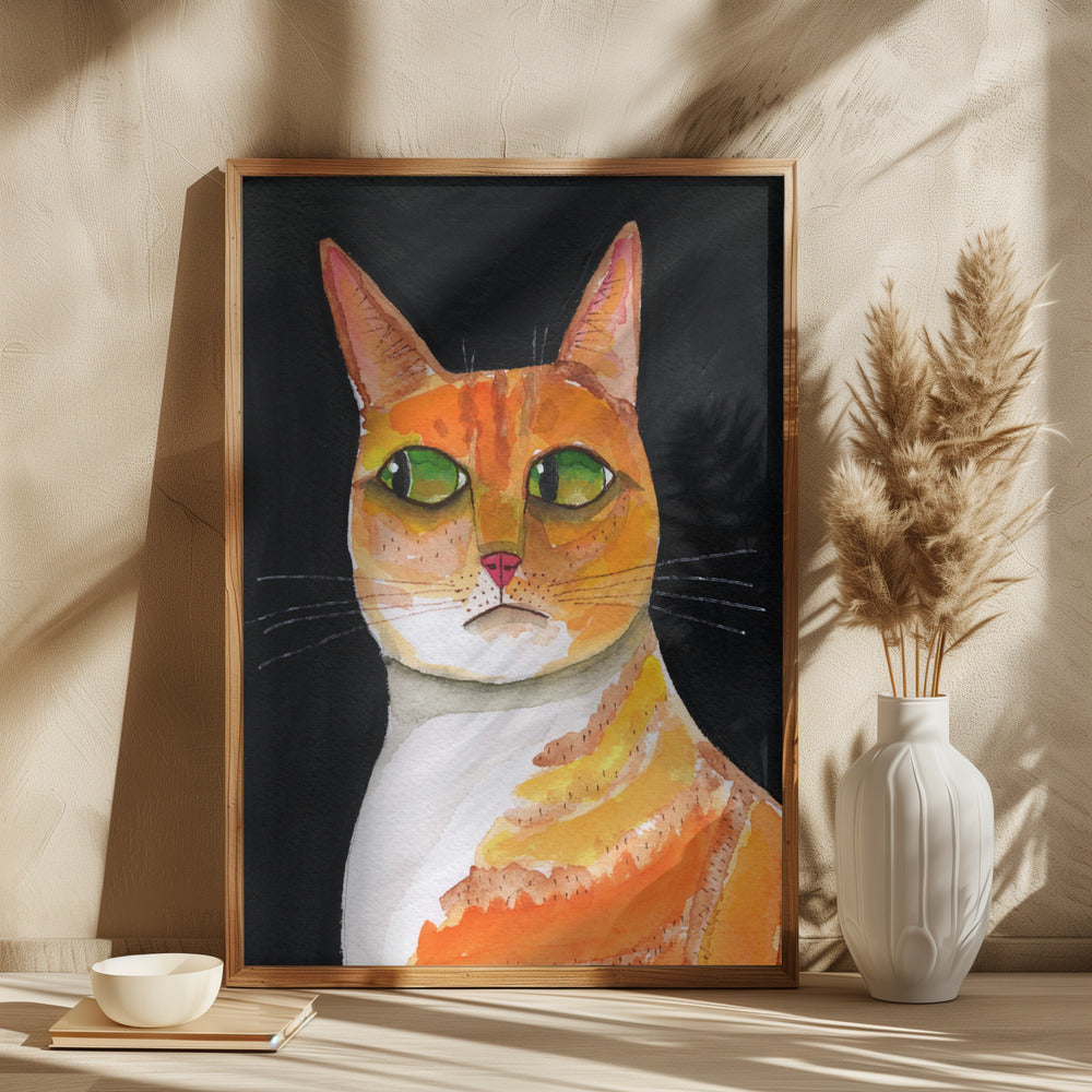 Side Eye Cat Closeup - plakatstore