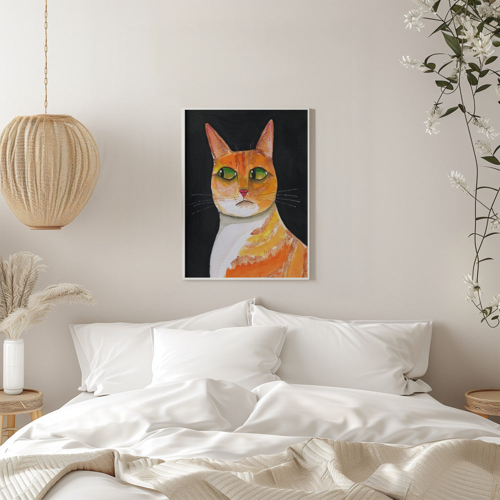 Side Eye Cat Closeup - plakatstore