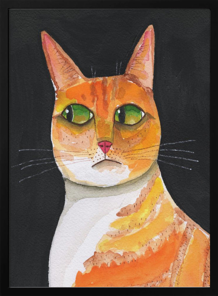 Side Eye Cat Closeup - plakatstore