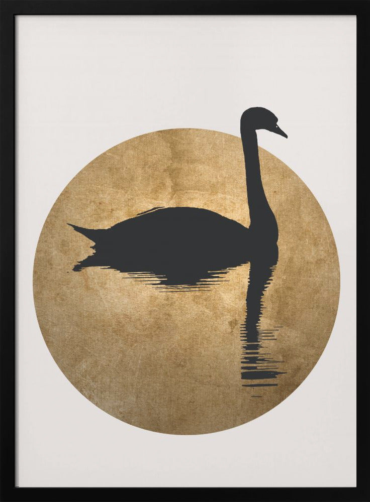 The Swan Gold - plakatstore