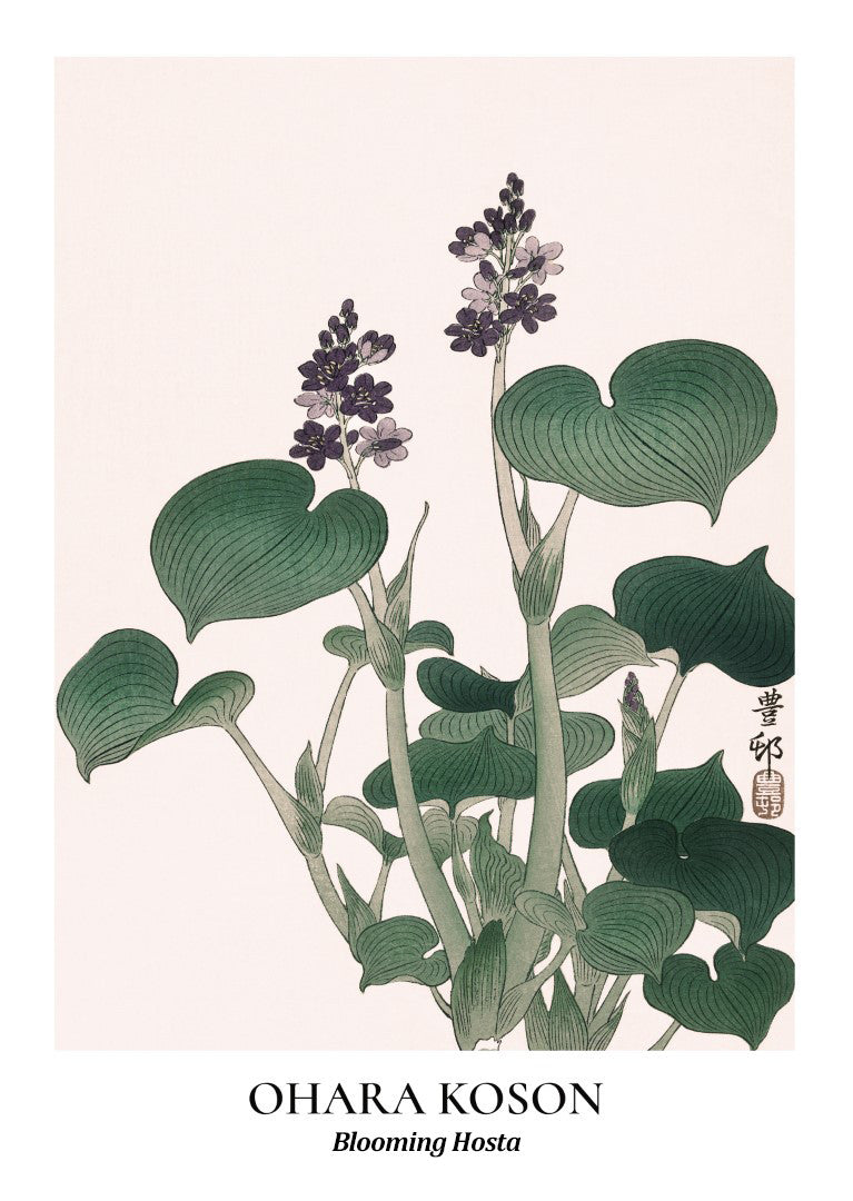 Blooming Hosta Ohara Koson Plakat