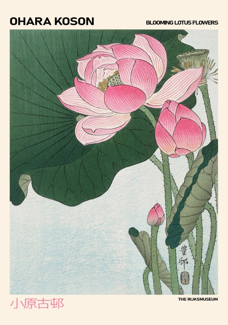 Ohara Koson Lotus 2 Plakat