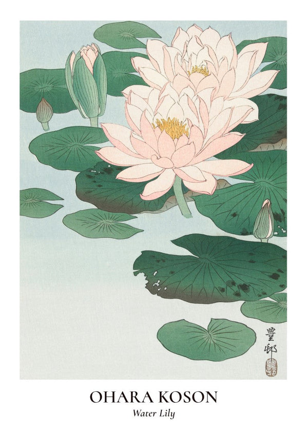 Ohara Koson Water Lily Plakat