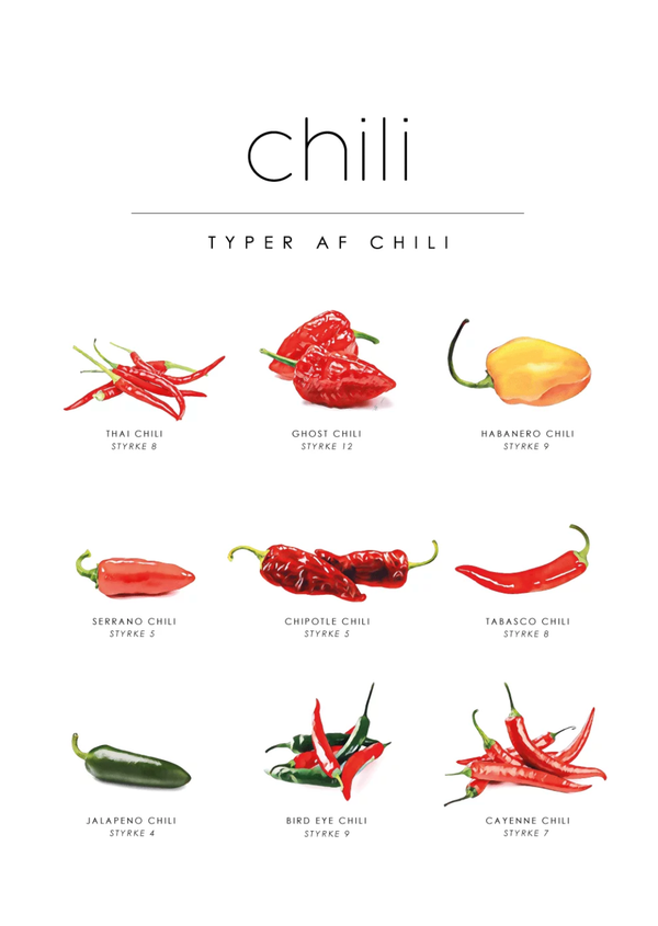 Chili Guide Plakat