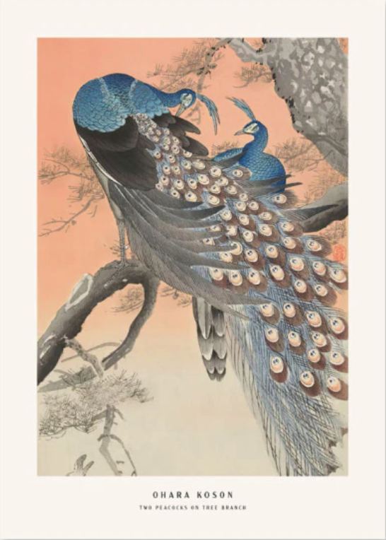 Ohara Koson Peacocks Plakat